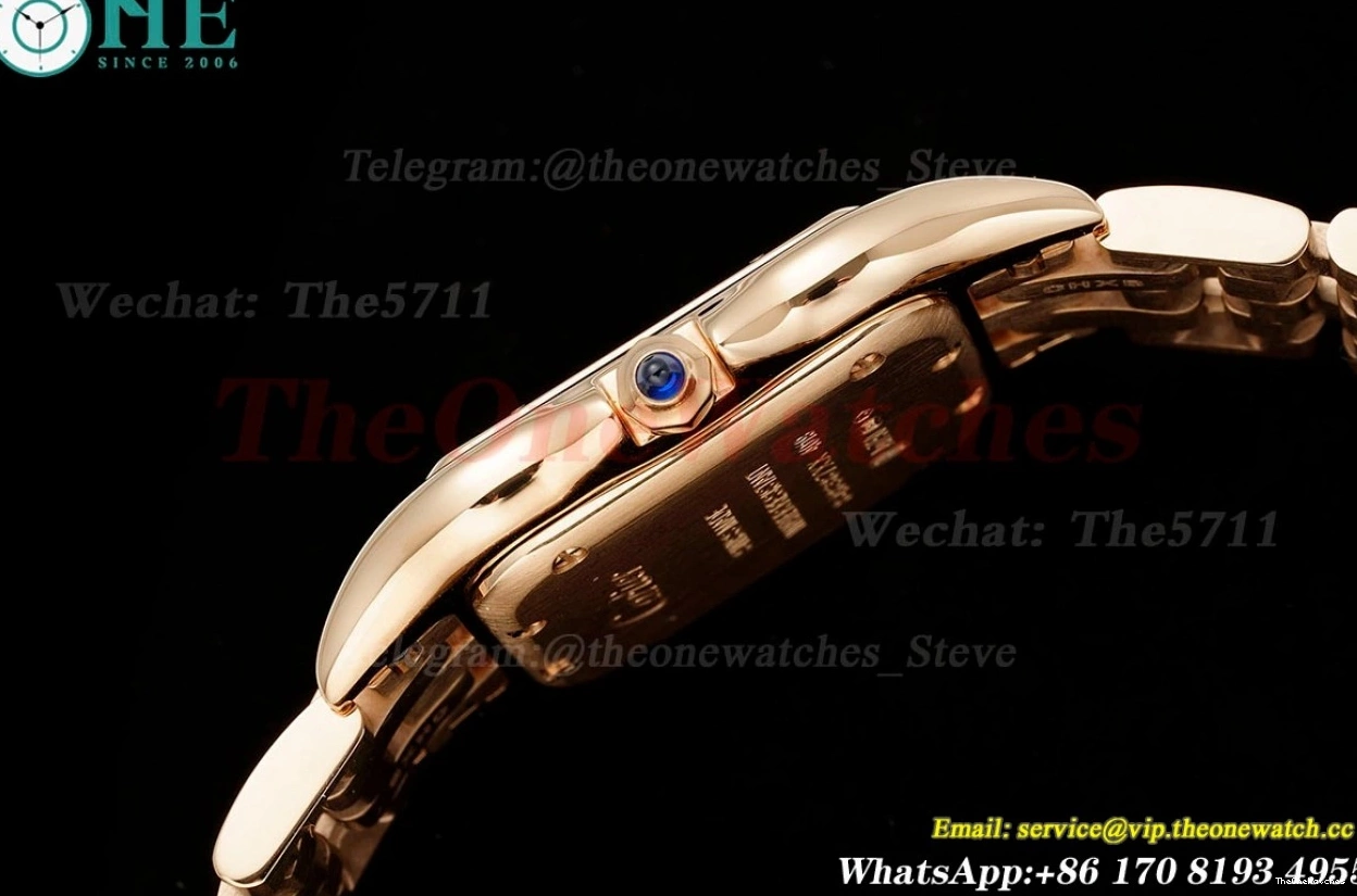 Secrete RG Ladies De RG Quartz Panthere Dial AF 27mm Mop 0123